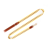Nylon Lead in Blue for Medium to Large Dogs - Yellow