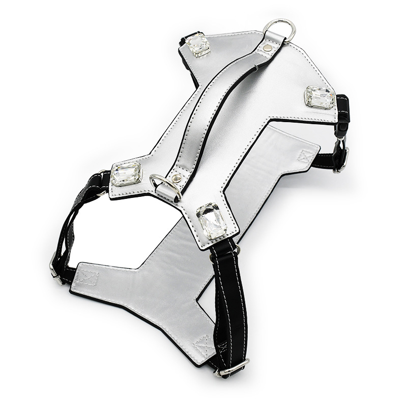Leather Harness in Blush - Silver