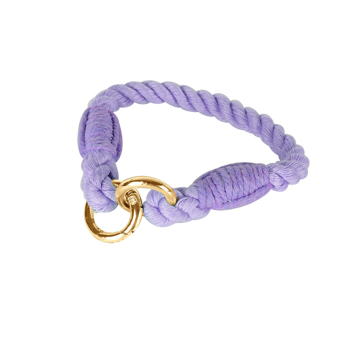 Cat Collar in Blue for Small Dogs