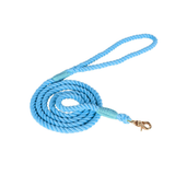 Lead in Blue for Small Dogs - Blue