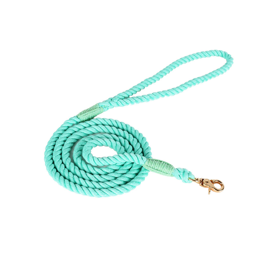 Lead in Blue for Small Dogs - Green