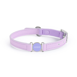 Powder Blue Leather Collar with Enamel Stud - Violet