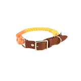 Hand-Braided Cotton Rope Collar & Lead Set, Forest Green - Rainbow