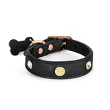 Cognac Crystal Stud Collar - Black
