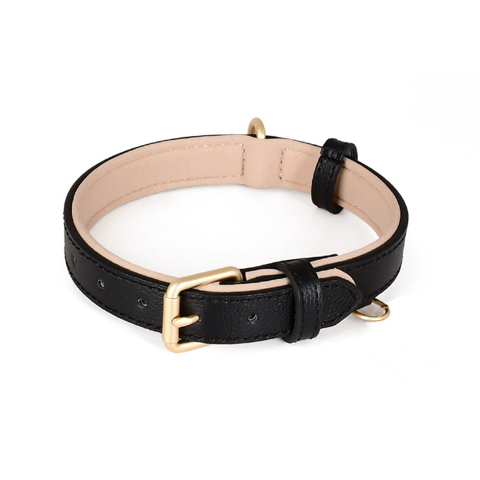 Contrast-Lined Classic Collar in Genuine Leather