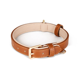 Contrast-Lined Classic Collar & Lead Set, Genuine Leather - Tan