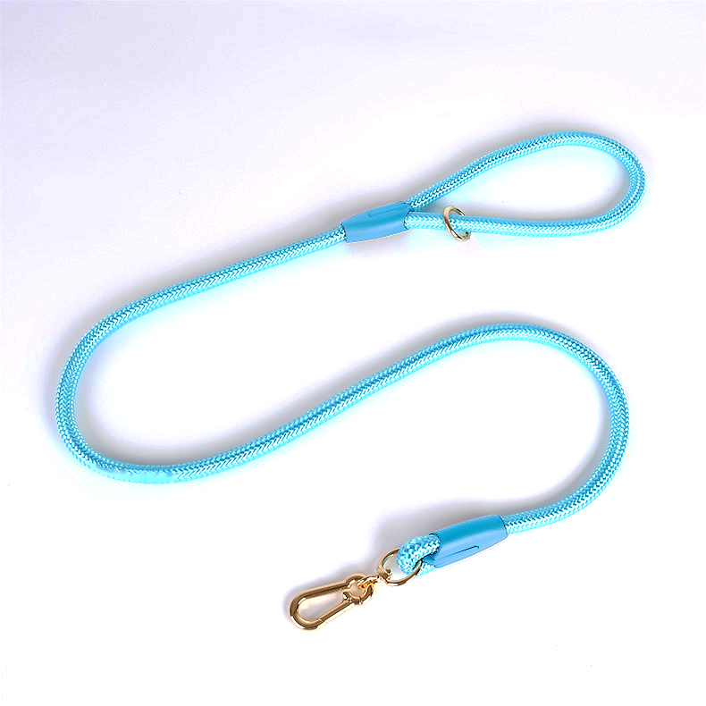 Strawberry Charm Pink Rope Lead & Slip Collar Set - Pearl Blue