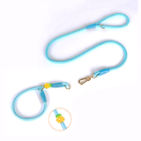 Strawberry Charm Pink Rope Set & Slip Collar Set - Pearl Blue Pineapple