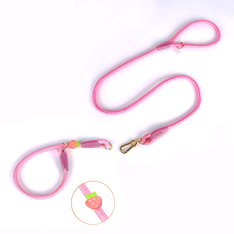 Strawberry Charm Pink Rope Set & Slip Collar Set - Princess Pink Strawberry