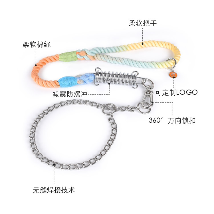 Rainbow Rope Lead with Chain Slip Collar - view 2