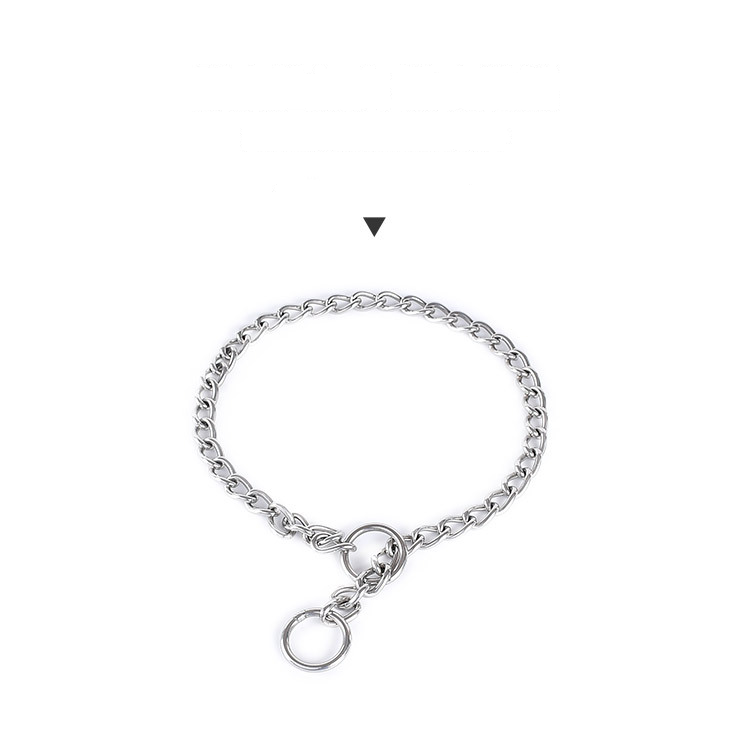 Rainbow Rope Lead with Chain Slip Collar
