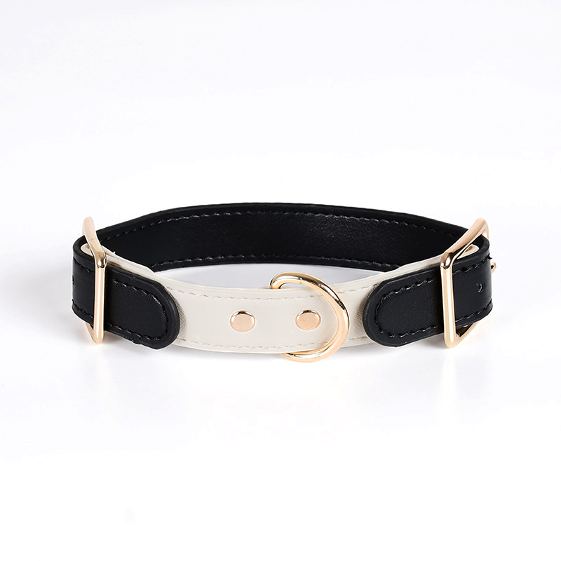 Classic Two-Tone Collar & Lead Set with Gold-Tone Hardware - Black