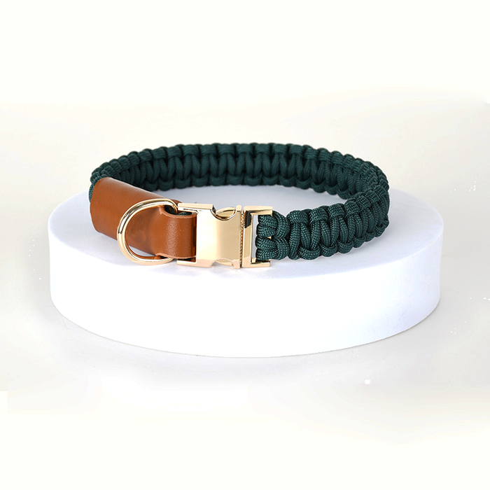 Leather Collar in Black