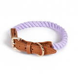 Kelly Green Cotton Rope Collar, Brass-Tone Hardware - Blue Violet