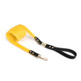 Forest & Mustard Colour-Block Lead - Yellow Black