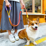 Two-Tone Hands-Free Running Lead - view 2