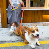 Two-Tone Hands-Free Running Lead - view 3
