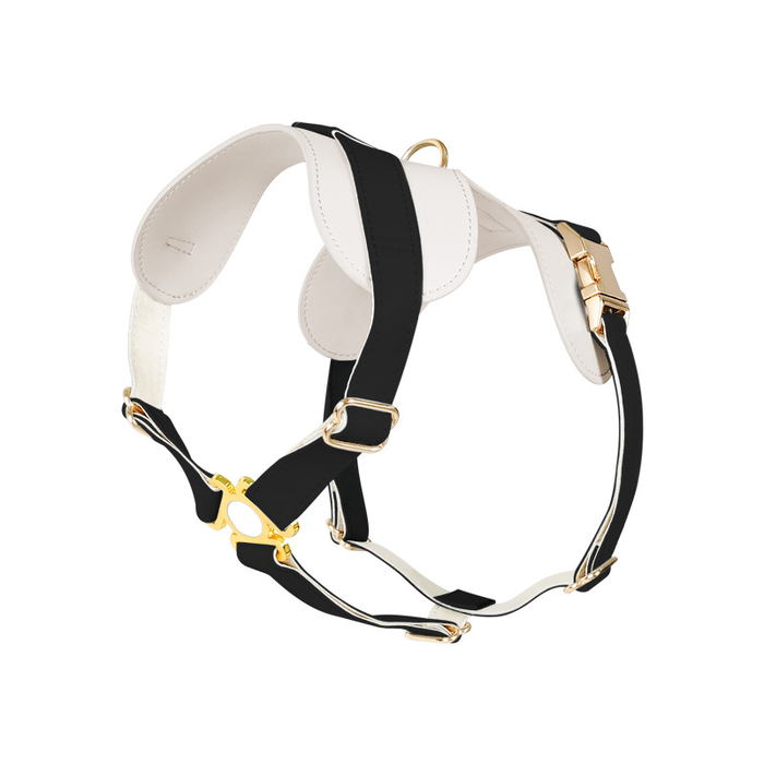 Powder Blue Two-Tone Leather Harness
