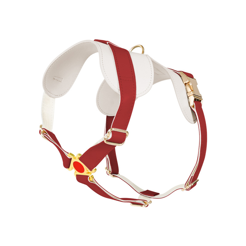 Powder Blue Two-Tone Leather Harness