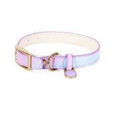 Vivid Purple Collar for Small Dogs - Vivid Purple