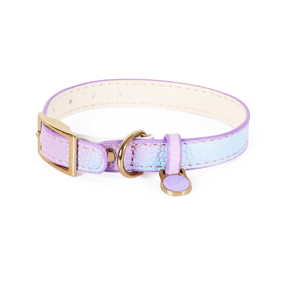 Vivid Purple Collar for Small Dogs - Vivid Purple