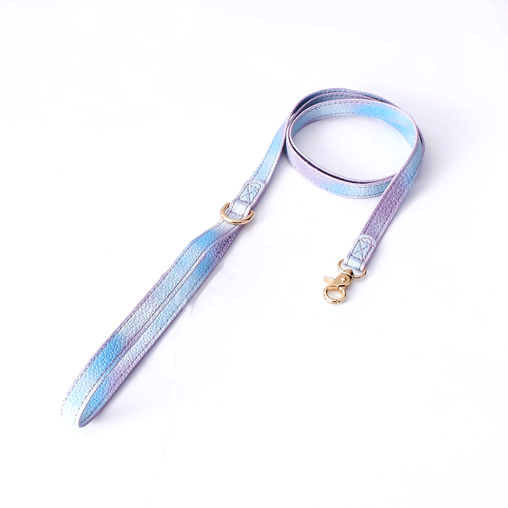 Vivid Purple Lead for Small Dogs - Vivid Purple