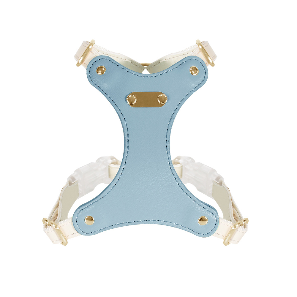 Leather Harness in Brights for Small Dogs - Blue