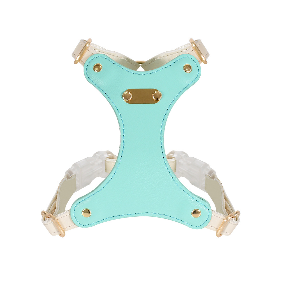 Leather Harness in Brights for Small Dogs - Green