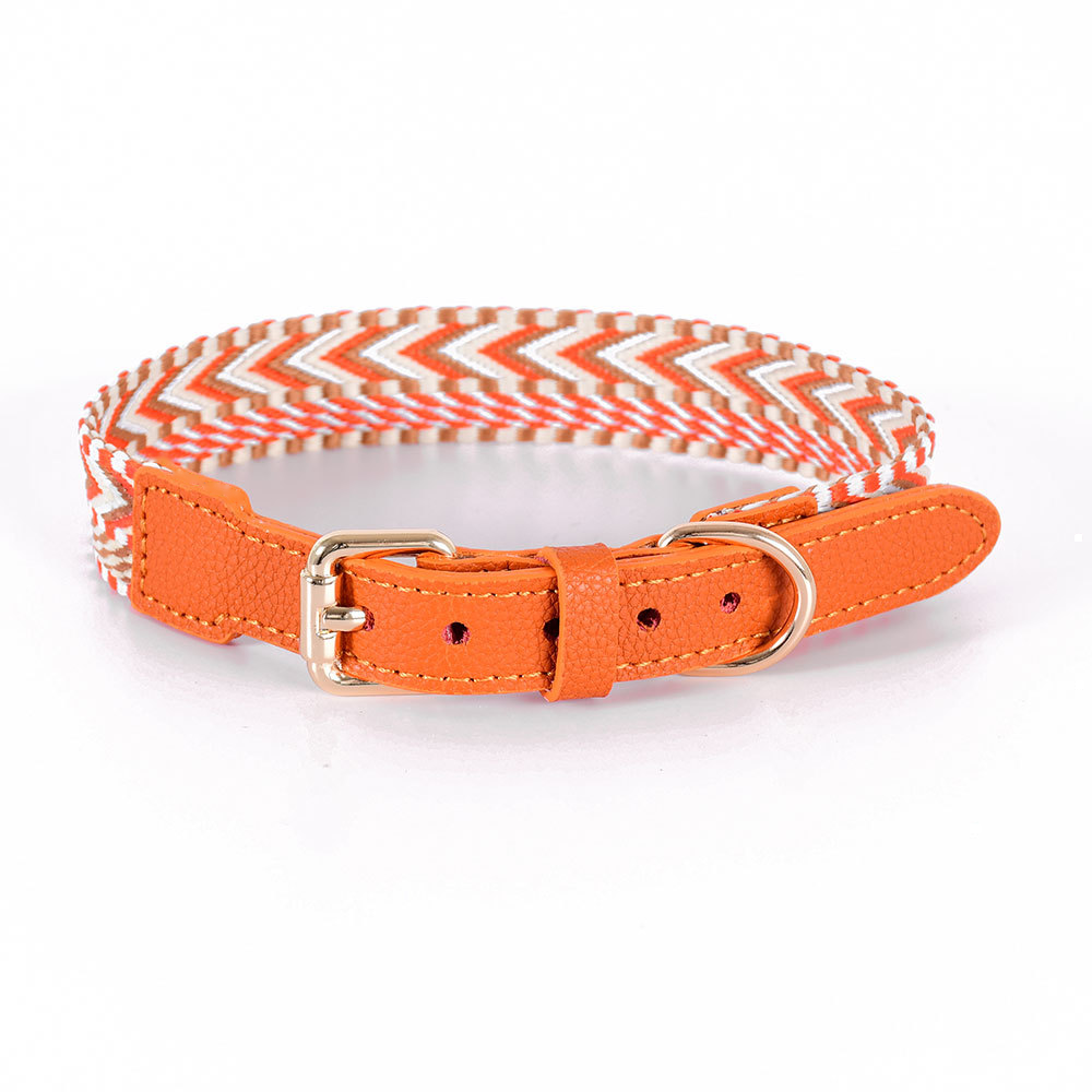 Arrowhead Webbing Collar, Genuine Leather Trim - Orange