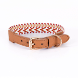Arrowhead Webbing Collar, Genuine Leather Trim - Tan