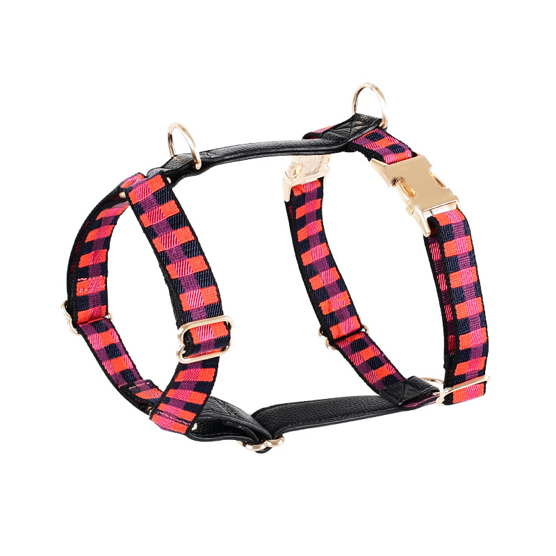 Leather Harness in Blue - Red
