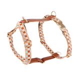 Leather Harness in Blue - Tan