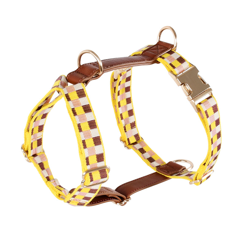 Leather Harness in Blue - Yellow