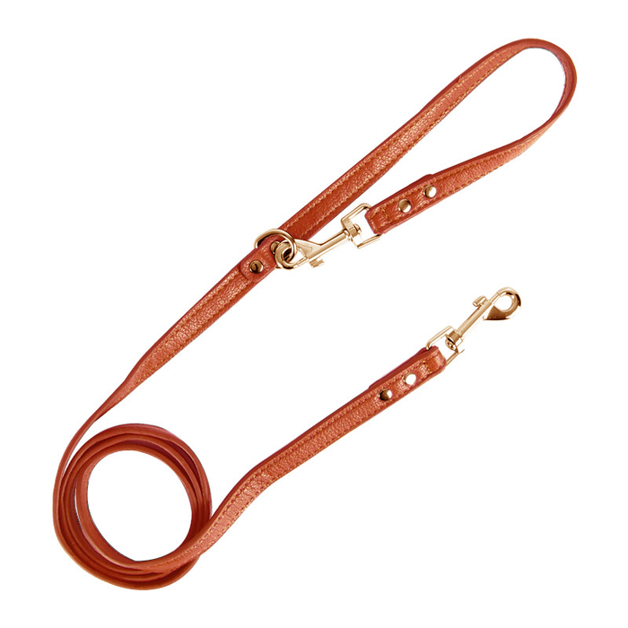 Deep Tones Lead for Medium to Large Dogs