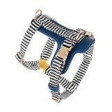 Brights Harness for Medium to Large Dogs - Blue