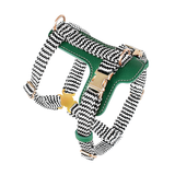 Brights Harness for Medium to Large Dogs - Green