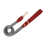 Brights Lead for Medium to Large Dogs - Red