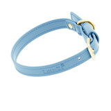 Brights Collar - Blue