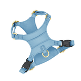 Brights Harness - Blue