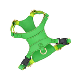 Brights Harness - Green