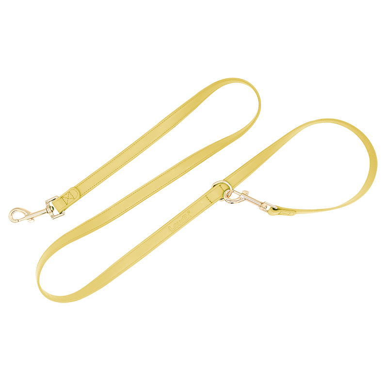 Blush Slim Leather Lead