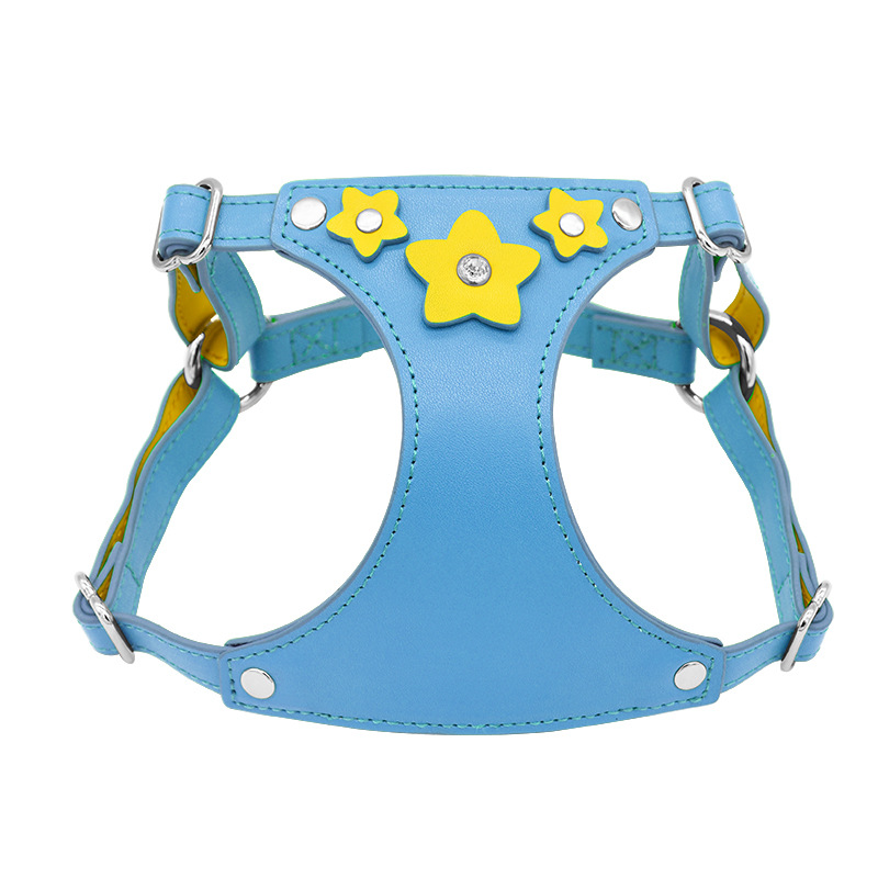 Harness in Blue - Blue