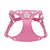 Harness in Blue - Blush