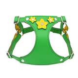 Harness in Blue - Green