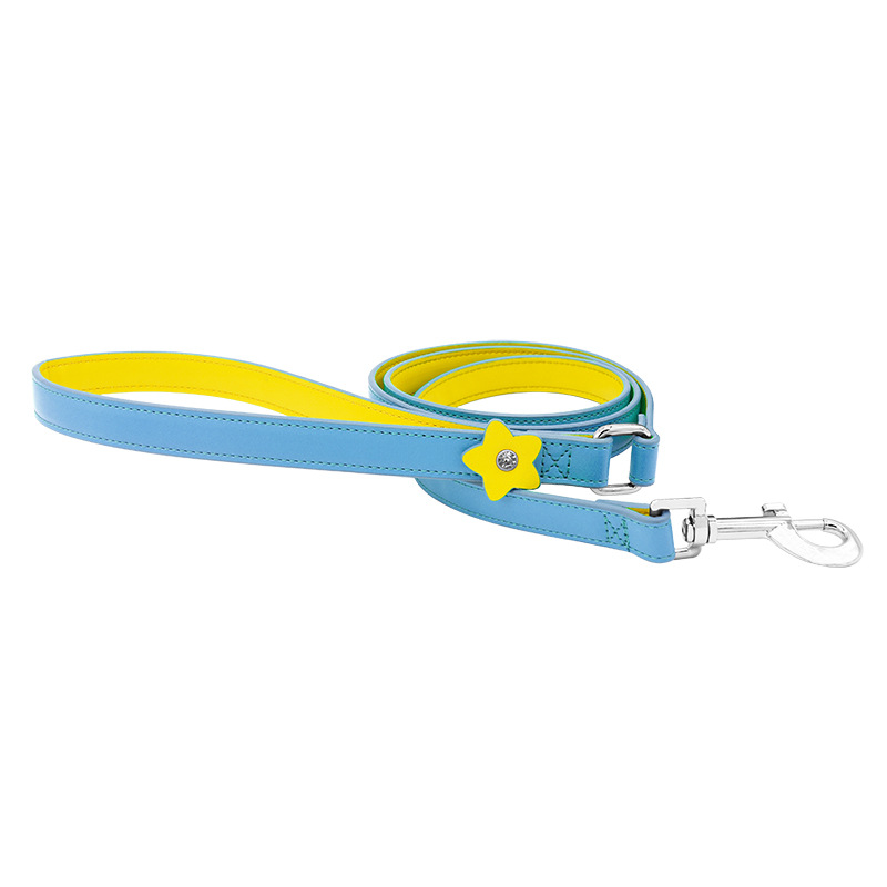 Star Charm Vegan Leather Walk Set for Cats & Small Dogs Lead - Blue