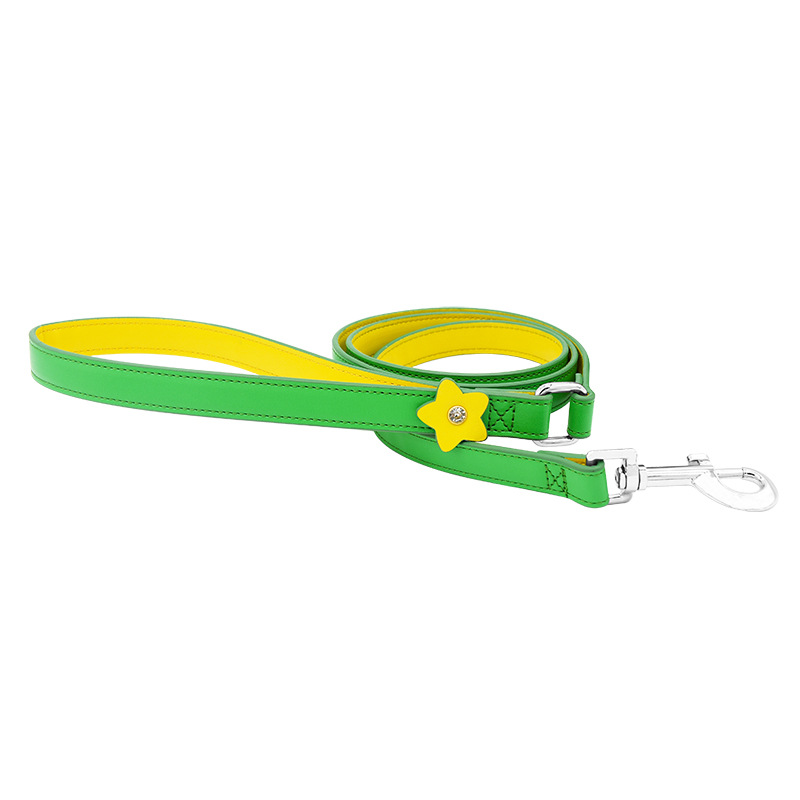 Star Charm Vegan Leather Walk Set for Cats & Small Dogs Lead - Green