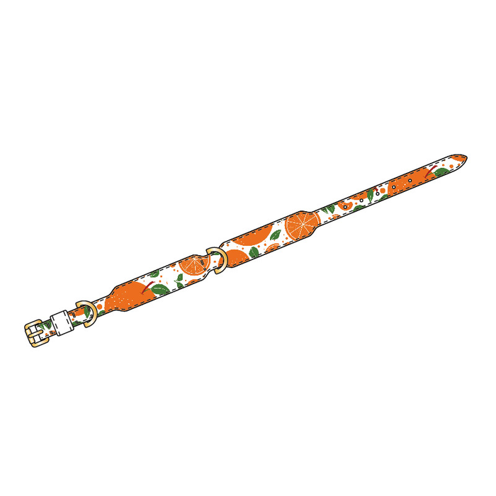 Brights Collar, XS–L