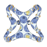 Brights Harness - Blue