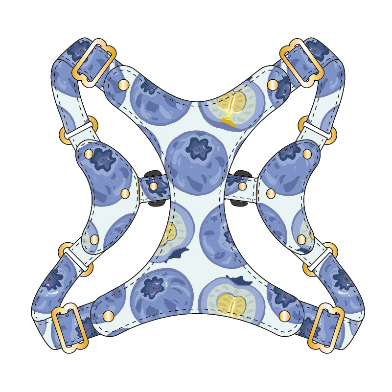 Brights Harness - Blue