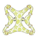 Brights Harness - Green